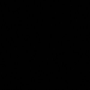 Meet your Posher, Travis